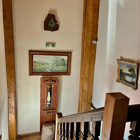 Iaspis Guest house *